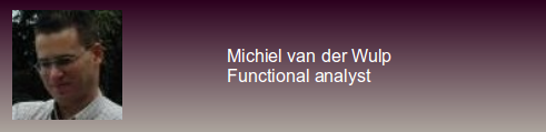 Michiel van der Wulp; Functional analyst